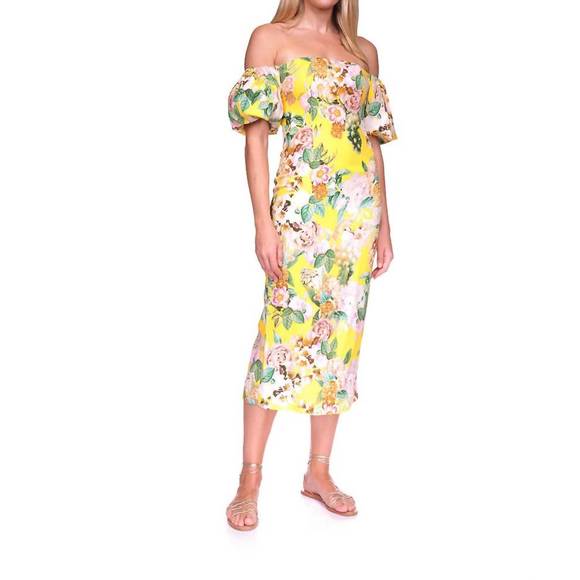 CARA CARA Dresses & Skirts - NEW CARA CARA karene dress in lemon zest corniucopia